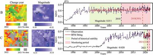 Figure 12. Monitoring results of the structural changes in the mangroves in regions B and C (Figure 11(a)) where the expansion years were earlier and there were longer SPH.