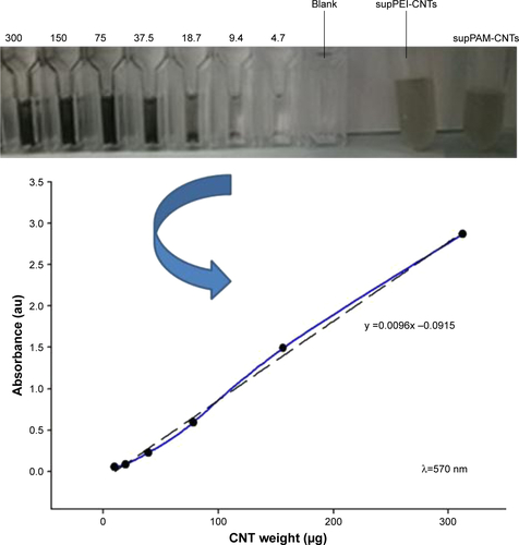 Figure S2 Calibration curve obtained by measuring absorbance (570 nm) of different dilutions (from 0 to 300 μg/mL) of carbon nanotube dispersions.Note: Dotted line is the linear fit of the obtained data.Abbreviations: CNTs, carbon nanotubes; PAMAM, polyamidoamine dendrimer; PEI, polyethyleneimine.