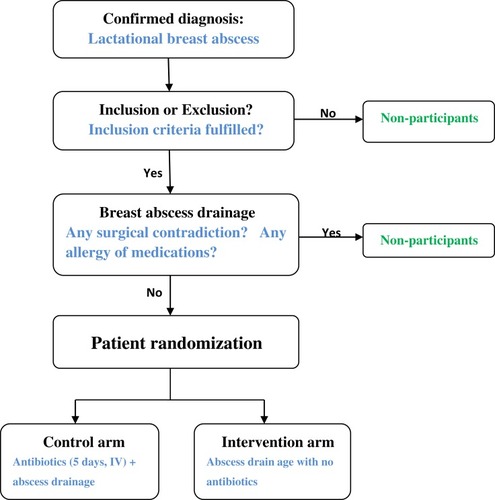 Figure 1 Flowchart of inclusion and randomization.Abbreviation: IV, intravenous.