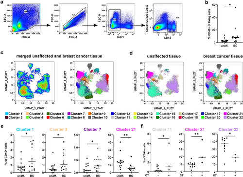 Figure 2. High-dimensional analysis of the immune cell signature in breast cancer tissue using unbiased approaches. Single cell suspensions of breast cancer samples and unaffected tissue of the same patients were stained with a panel of 21 fluorochrome-coupled monoclonal antibodies. Cells were acquired using a BD LSRFortessa and analyzed using FlowJo (version 10, BD Biosciences). a) Gating strategy to identify CD45+ immune cells in the samples of breast cancer patients. After gating for the morphology of cells (FSC-A/SSC-A), doublets (FSC-A/FSC-H), dead cells (DAPI+) and cancer cells (CD324/CD326/CD340+) were excluded. Then, CD45+ immune cells were selected and the frequency among all viable cells determined. b) Scatter plot shows frequency of CD45+ immune cells among all viable cells for all breast cancer samples as well as unaffected surrounding tissue of the same patient (Student’s t-test; * p < 0.05, ** p < 0.01). c) UMAP analysis and overlay with cell clusters identified using X-Shift are shown as dot plot for merged sample. d) The merged samples were split up into unaffected and breast cancer tissue. Dot plots show the results of the UMAP analysis overlaid with the identified clusters using X-Shift. e) Frequency of each cluster among the CD45+ immune cells was determined. Scatter plots show clusters that differ significantly between unaffected and breast cancer tissue (Student’s t-test; * p < 0.05, ** p < 0.01). f) Breast cancer samples were grouped into untreated and chemotherapy (CT)-treated samples. Scatter plots show clusters that differ significantly between treated and untreated breast cancer samples (Student’s t-test; * p < 0.05, ** p < 0.01).