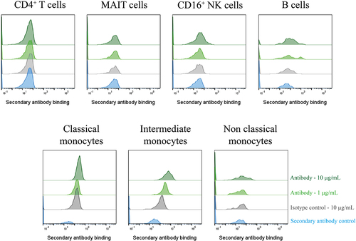 Figure 5. A GPR65-specific monoclonal antibody was successfully derived from phage display of a chimeric protein. PBMCs were isolated from a healthy control (n = 1), treated with Fc block for 10 min, then phage-derived antibody incubated with the cells for 1 h. DAPI-negative live cell subsets were identified according to their phenotypeFootnote1 before secondary antibody (anti-rabbit IgG AF647) binding was assessed by flow cytometry. Phage-derived antibody binding is depicted in light or dark green, at 1µg/mL or 10 µg/mL respectively, with the secondary antibody control depicted in blue, and the isotype control reflected in grey. Ab1.1 is the example shown.