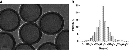 Figure 1 (A) The TEM images and (B) the average size of ZrO2 by Zetasizer 3000HSA.