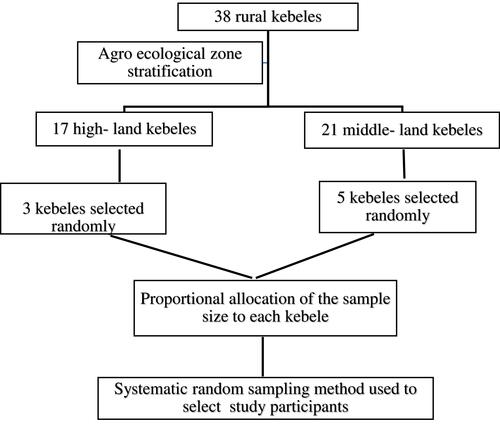 Figure 1 Schematic presentation of sampling technique for assessment of prevalence of clinical vitamin A deficiency and associated factors among pre-school children in rural kebeles of Farta district, South Gondar zone, Ethiopia.