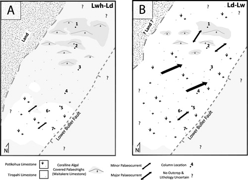 Figure 3 Palaeogeographic reconstructions of the western Paparoa Range for the Early Oligocene (Whaingaroan to Duntroonian) and Late Oligocene (Duntroonian – Waitakian). These divisions correspond to the lower and upper package of the Nile Group. The palaeogeogrpahy reflects a combination of previous reconstructions based on E–W cross-sections enhanced by the N–S cross-section presented herein.