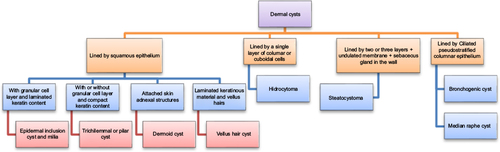 Figure 12 Approach to common dermal cysts.