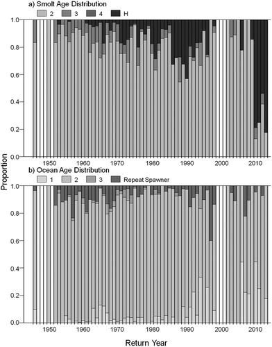 FIGURE 3. (a) Smolt age and (b) ocean age distribution by return year of Atlantic Salmon from the Narraguagus, Pleasant, Machias, East Machias, and Dennys rivers from 1946 to 2013. H = smolts of hatchery origin.