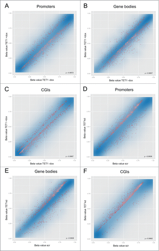 Figure 2. TET1 overexpression and TET triple knockdown affect DNA methylation levels of HEK293 cells. Shown are comparisons of mean methylation β values for different genomic regions after induced overexpression of TET1 (TET1 +dox; A–C) and triple knockdown of the TET enzymes (TET kd; D–F) compared to the respective uninduced (TET1 -dox) or scrambled controls (scr). The methylation status of more than 450,000 CpG sites was measured by Illumina Infinium HumanMethylation450 BeadChips and quantitatively analyzed on the region level for the 3 replicate cell lines of each experiment. The transparent blue areas correspond to point density with the 1% of the points in the sparsest populated plot regions drawn explicitly. The 1,000 best ranking differentially methylated promoters (A, D), gene bodies (B, E) and CGIs (C, F) are represented by red dots. ρ = Pearson correlation coefficient.