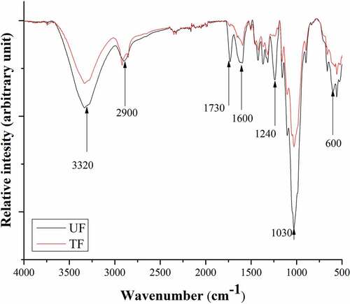 Figure 6. FTIR of untreated fibers (UF) and treated fibers (TF) extracted from leaves of A. angustifolia Haw.