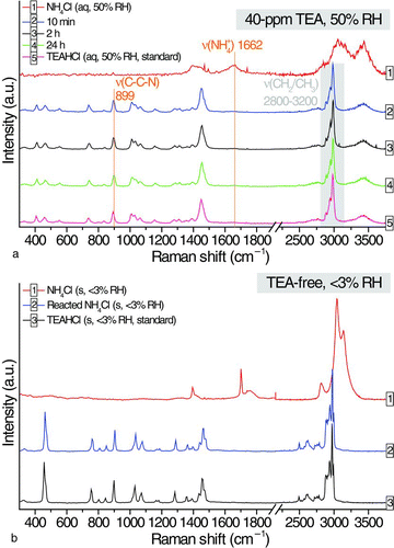 FIG. 2 (a) Temporal changes in Raman signals of an aqueous ammonium chloride droplet at 40-ppm TEA and (b) comparison of the Raman spectra of a solid particle of ammonium chloride, the dried particle of the reacted ammonium chloride droplet in TEA-free EDB chamber, and a solid particle of TEAHCl. (Color figure available online.)