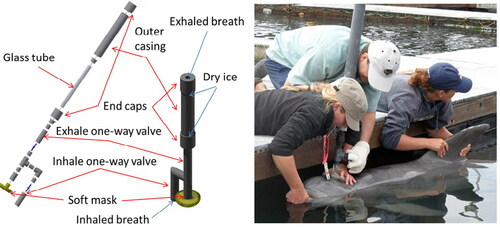 Figure 4. Schematic representation of the device for EBC sample collection from cetaceans. ©American Chemical Society. Reproduced by permission of American Chemical Society (https://pubs.acs.org/doi/abs/10.1021/ac5024217).[Citation213] Permission to reuse must be obtained from the rightsholder.
