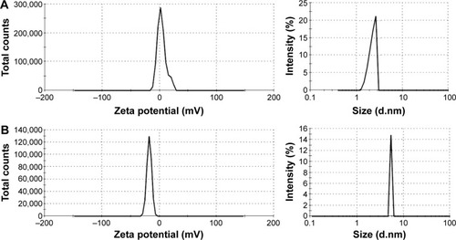 Figure 5 Zeta potential and size distribution analysis of (A) nonconjugated and (B) conjugated E89C analog.