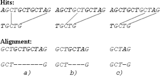 Figure 13. Aligning sequences with repeats. Hits in the microsatellite DNA: GCT (2,4) – being reported (a), GCT (5,7) (b) and GCT (8,10) (c).