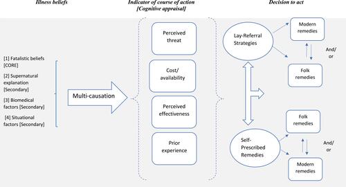 Figure 1 Health beliefs and treatment decision modelling during illness.