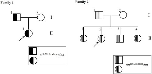 Figure 1. Pedigrees of the families participating in this study.