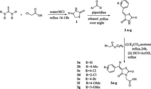 Scheme 1. Preparation of 2,4-dioxothiazolidinyl acetic acids 3a–3g.