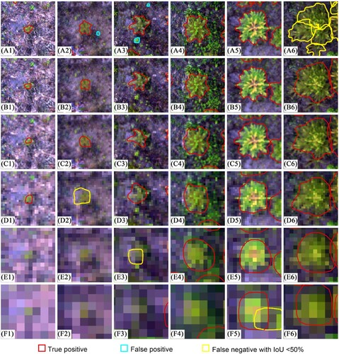 Figure 6. Example of different tree-crown detection and delineation results from Mask R-CNN using different image resolutions. Red polygons represent the correctly identified trees; Cyan polygons represent the falsely identified trees (e.g. broad-leaved trees or weeds); Yellow polygons represent some parts of trees that were detected by model, but the IoU value was less than 50%. (E1), (E2), (F1), (F2), (F3), and (F4) are examples of omitted trees. The images in the same row have the same resolution. Image resolutions from O, A, B, C, D, E, F are 0.007 m (original image), 0.01, 0.02, 0.04, 0.08, 0.16, and 0.32 m.