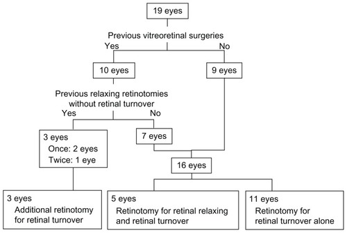 Figure 2 Flowchart of cases that underwent retinotomy for retinal turnover alone and retinal turnover combined with retinal relaxing.