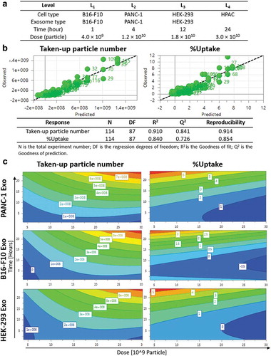 Figure 3. Design of experiments (DoE)-driven modelling of exosome cellular uptake. D-optimal design was established to combine four varied factors (exosome type, cell type, time and dose) at different levels to investigate the effects of individual factor or 2-factor interactions on the exosome cellular uptake. (a) Input information for establishing D-optimal Design using MODDE software. (b) Assessing the prediction power of the model in a plot of predicted vs. observed (with 1–1 line in black dashed line). Statistical parameters of the DoE model for Taken-up particle number and %Uptake modelling are summarised below the fitted data. (c) Contour plots relating the effect of incubation time and Exo dose on Taken-up particle number (left) and %Uptake (right) for PANC-1, B16-F10, HEK-293 Exo in PANC-1 cells. The red and darkest blue colour indicate the highest and lowest responses, respectively.