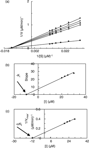 Figure 2 (a) Double reciprocal Lineweaver-Burk plots of MT kinetics assays for cresolase reactions of MePAPh in 10 mM phosphate buffer, pH 6.8, at temperature of 20°C and 112.68 μg/mL enzyme concentration, in the presence of different concentrations of I: 0 mM (▪), 0.02 mM (◊), 0.0225 mM (▴), 0.025 mM (○), 0.03 mM (•). (b) Secondary plot of the slope against the concentration of inhibitor, which gives the − Ki from the abscissa-intercept. (c) Secondary plot of 1/Vmax′ versus concentration of inhibitor, which gives − αKi from the abscissa-intercept.