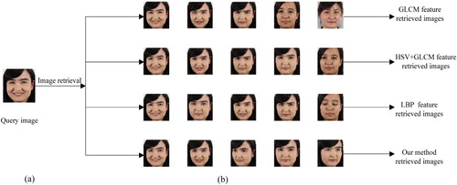 Figure 8. (a) Query image (b) images retrieved in FD-XJ.