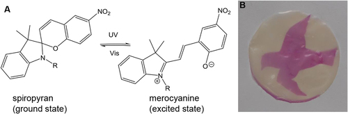 Figure 4. Spiropyran in normal and excited state (A) and picture of the membrane (2 μm, cHEMA 25%) irradiated with UV-light through a mask (B).