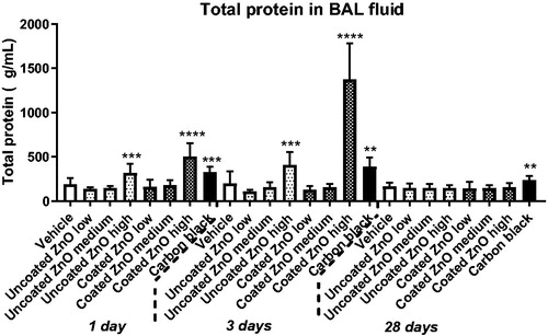 Figure 2. Total protein in BAL fluid at 1, 3 and 28 days of ZnO nanoparticle exposure. Uncoated or triethoxycaprylylsilane-coated ZnO nanoparticles were administered by intratracheal instillation at 0.2, 0.7 or 2 µg/mouse. Low, medium and high designates low-dose, medium-dose and high-dose, respectively. One, three or twenty-eight days after exposure, BAL fluid was prepared and total protein determined. Data are mean and bars represent SD. ****, ***, ** and * designates p-values of <0.0001, <0.001, <0.01 and <0.05 respectively vs. vehicle of one way ANOVA with Holm–Sidak’s multiple comparisons test. In the case of carbon black ***, and ** designates p-values of <0.001, and <0.01 respectively vs. vehicle of the t-test.