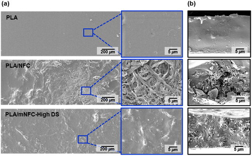 Figure 8. SEM images of (a) film surface and (b) fractured surface morphology of pure PLA film and nanocomposite films of PLA/NFC and PLA/mNFC-High DS.
