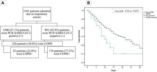 Figure 1 (A) Flow chart of the studied population. (B) Kaplan–Meier survival analysis of whole COVID-19 population in relation to the presence or absence of COPD as comorbidity.