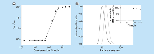 Figure 2.  Physico-chemical properties of invertible micellar polymer nanoassemblies.(A) The intensity ratio (I336.5/I333) of the excitation spectra of pyrene in PEG600PTHF650 solutions versus polymer concentration. (B) The sizes of blank and curcumin-loaded polymer micellar nanoassemblies as determined by dynamic light scattering.IMA: Invertible micellar polymer nanoassembly.