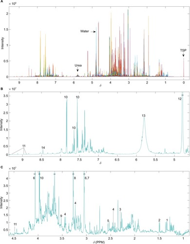 Figure 1 (A) Unedited 1H-NMR spectra example. Different colors correspond to individual samples overlaid. (B) Median spectra of unedited data for ppm values ranging from above 4.5 to below 9.5. (C) Median spectra of unedited data for ppm values ranging from 1 to 4.5. Numbers indicate the following commonly reported metabolites – 1: lactate; 2: alanine; 3: acetoacetate; 4: carnitine; 5: citrate; 6: creatinine; 7: creatine; 8: TMAO; 9: glycine; 10: hippurate; 11: 1-methylnicotinamide; 12: water; 13: urea; 14: formate.