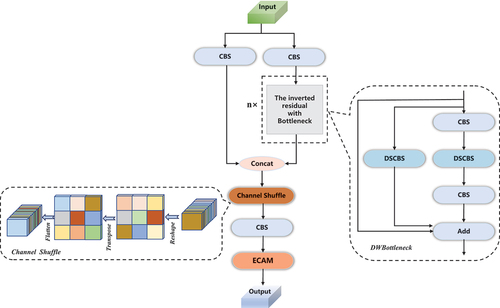 Figure 3. Schematic diagram of an improved lightweight C3 module(C3DWS).