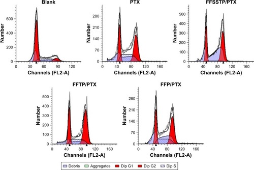 Figure 11 Flow cytometric analysis of MCF-7/PTX cell cycle distribution induced by free PTX, FFSSTP/PTX, FFTP/PTX, or FFP/PTX for 24 h using the PI staining.Note: The concentration of PTX was 5 μg/mL.Abbreviations: Dip, diploid; FA, folate; FFP, F127-FA/FT/P123; FFSSTP, F127-folate/F127-disulfide bond-d-α-tocopheryl polyethylene glycol 1000 succinate/P123; FFTP, F127-FA/FT/P123; FT, F127-TPGS; PI, propidium iodide; PTX, paclitaxel; TPGS, d-α-tocopheryl polyethylene glycol 1000 succinate.