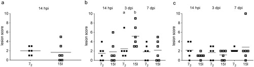 Figure 3. Colibacillosis lesion scores. Inbred lines 72 and 15I chickens were inoculated with (a) the high, (b) the intermediate or (c) the low dose of APEC O1. Colibacillosis lesions were recorded at different time points. Each dot represents the total lesion score of an individual bird with a maximum score of 16. Six birds of each line were sampled at each time point after each challenge dose. The mean is shown. Groups with different letters are significantly different (P < 0.05).