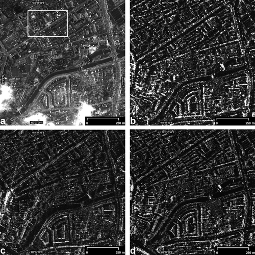 Figure 4.  Image examples over Dujiangyan acquired by EROS-B (a), CosmoSkymed stripmap (b), CosmoSkymed spotlight (c), and TerraSAR-X spotlight (d). The subset outlined in (a) is presented enlarged in Figure 5.