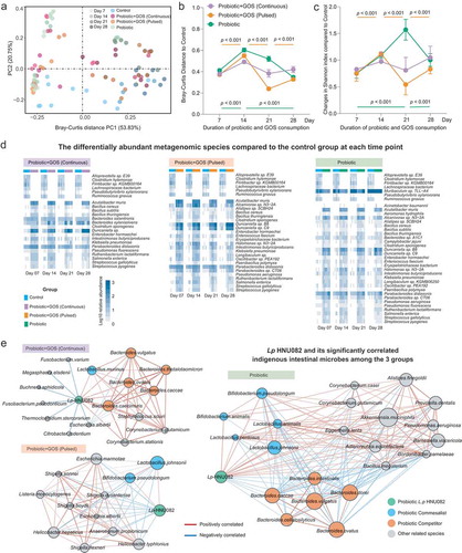 Figure 2. The indigenous intestinal microbiome response to the probiotic ingestion at the taxonomic level. (a) The PCoA plot based on the Bray–Curtis distance metric of species-level taxonomic profiles of fecal samples in each group. The points in different colors represented the samples in different groups, and the gradation of same color represented the samples in the same group but different time points. (b) The Bray–Curtis distance between samples in control and each of treatment groups at each time point, error bar: mean±SD. (c) The changes in taxonomic Shannon diversity compared to the control group at each time point, error bar: mean±SD. (d) The heatmaps showing significantly changed species-level taxa from control in each group. (e) The co-occurrence networks indicating the ecological relationships between Lp082 and indigenous intestinal species under each of treatments. The nodes in different colors represented by members in the community, i.e. Lp082, species positively correlated with probiotic, and species negatively correlated with probiotic. The edges are colored by sign and strength of correlation between a pair of nodes, which calculated based on the Spearman correlation coefficients.