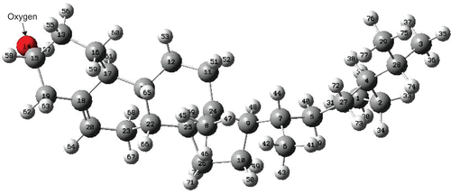 Figure 1.  Ball and stick model with labels of optimized structure of the β-sitosterol molecule. Red: oxygen; dark gray: carbon; light gray: hydrogen (PM3 result).