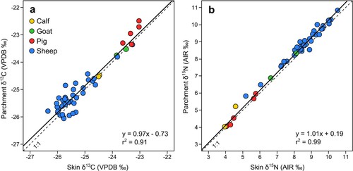 Figure 3. Comparison of stable isotope values from skin and parchment produced using Method 1, (a) δ13C, (b) δ15N. Solid line = Linear trend line; Dashed line = 1:1