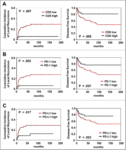 Figure 1. Prognostic impact of (A) CD8+ and (B) PD-1 and (C) PD-L1 expression on cumulative incidence of local recurrence and disease-free survival, as indicated. Analysis was based on the dichotomized total score in patient tumor samples (cut-off according to median value of total score).