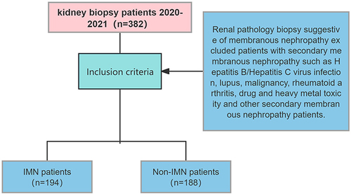 Figure 3 IMN Clinical Flowchart.