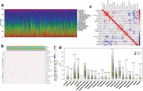 Figure 5. Immune cell infiltration landscapes in high- and low-risk patients with LUSC (a) Relative proportions of immune cell infiltration in high- and low-risk patients. (b) Correlation matrix and (c) heatmap of the 22 immune cell proportions. (d) Differences in immune cell infiltration abundances between high- and low-risk patients