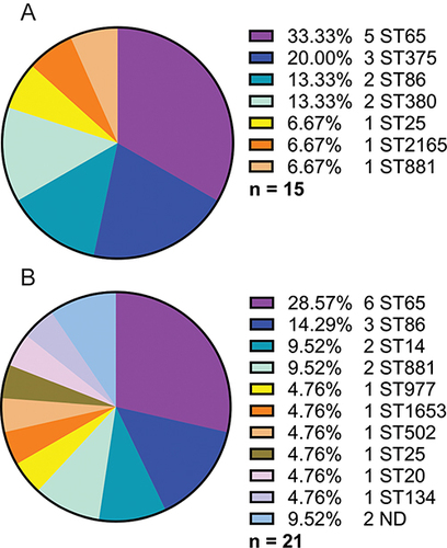 Figure 2 STs of K2 K. pneumoniae strains from PLA and non-PLA. (A) STs of 15 K2 K. pneumoniae strains from PLA; (B) STs of 21 K2 K. pneumoniae strains from non-PLA. ST: sequence type; ND: not defined.