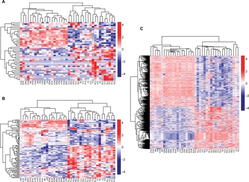 Figure 1 Hierarchical clustering and heat map analysis of differentially expressed lncRNAs (A), miRNAs (B), and genes (C).Notes: Each row represents a sample, and each column represents an lncRNA, miRNA, or gene. High- or low-relative expression is displayed as a red or blue strip, respectively. Each group contained 20 different samples.Abbreviations: T, tumor; N, normal.