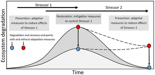 Figure 1. Modified Batterbee model (after Batterbee et al. Citation2005) combining idealised preventative and restorative lake management interventions and ecosystem degradation responses in the context of 2 increasing stressors (e.g., Stressor 1: nutrients; Stressor 2: warming). The left side of the panel indicates ecosystem degradation following the onset of Stressor 1 (with and without adaptation measures) and the right side indicates ecosystem recovery following the control of Stressor 1 while Stressor 2 remains unabated (with and without adaptation measures). Dashed lines indicate recovery trajectories without adaptation measures. Color version available online.