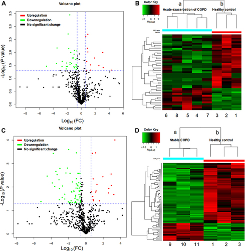 Figure 2 Differentially expressed proteins (DEPs). (A and C) Volcano plots showing upregulated proteins represented by red dots, downregulated proteins represented by green dots, proteins with no significant represented by black dots (absolute log10 fold change and P < 0.05 as the standard) between the group with acute exacerbation of COPD and the healthy control group (A), and between the group with stable COPD and the healthy control group (C). (B and D) Heat map showing the clustergram of the upregulated and downregulated DEPs between the acute COPD group ((B): a, 4–8) and the healthy control group ((B): b, 1–3), and between the stable COPD group ((D): a, 9–11) and the healthy control group ((D): b, 1–3). Each row represents a protein, each column represents a sample, and colors represent different levels of expression (log2 values of quantitative values are median-corrected during heat mapping).