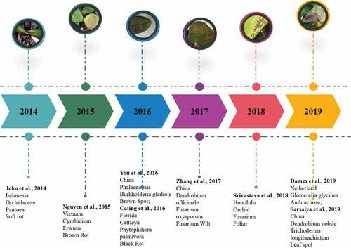 Figure 3. Yearly systematic evaluation of orchids disease with their host and disease name