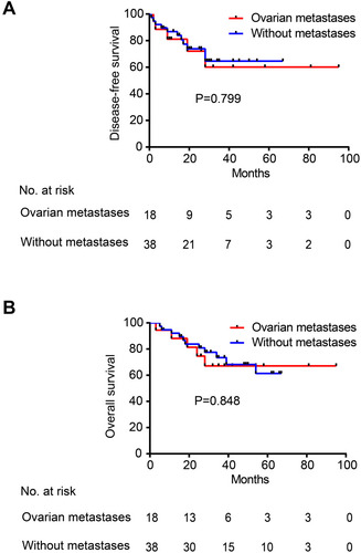 Figure 5 (A) DFS of patients with ovary-only metastases after primary and metastatic lesion resection (red curve) and DFS of patients without any metastases after primary lesion resection (blue curve). (B) OS of patients with ovary-only metastases after primary and metastatic lesion resection (red curve) and OS of patients without any metastases after primary lesion resection (blue curve).