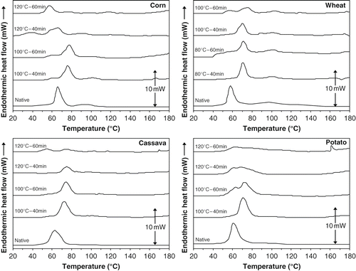 Figure 2 Endotherms of the starch samples.