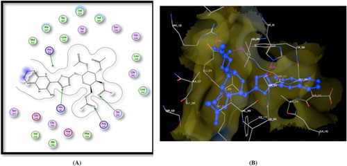 Figure 1. A) Binding of the candidate 4 with COX-2 (using MOE site finder programme), the dotted lines represent H-bonding interactions between oxadiazole N and His90 and between the acetyl C = O atom and Tyr355& Arg120. B) 3D interactions of 4 with Tyr355, Arg120, and His90 acid residues.