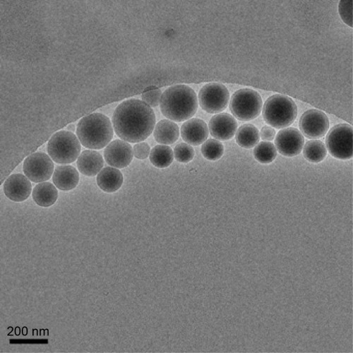 Figure 5 A cryo-electron microscopy image of oxcarbazepine-loaded PLGA nanoparticles.Notes: These nanoparticles were prepared with 5% theoretical drug loading in the presence of 0.03% (w/v) of α-tocopherol polyethylene glycol-1000-succinate (TPGS). The nanoparticles have adhered to an arc-shaped carbon film, below which ice is visible.