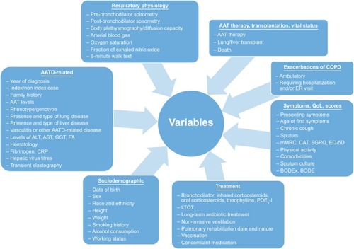 Figure 4 EARCO registry data collection.